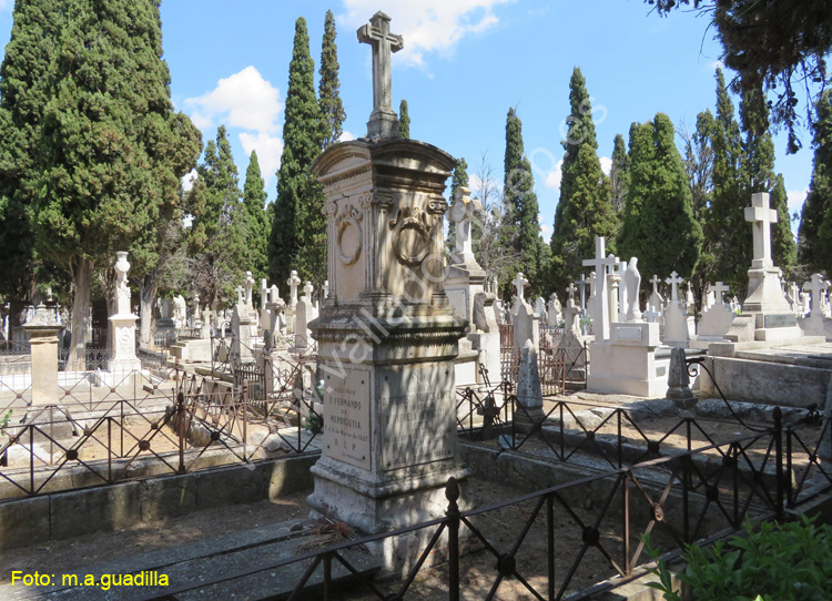 Valladolid - Cementerio (106)