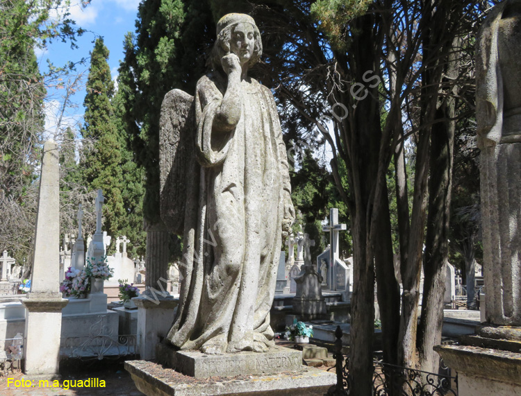 Valladolid - Cementerio (130)