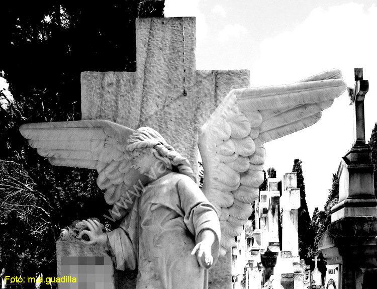 Valladolid - Cementerio (162)