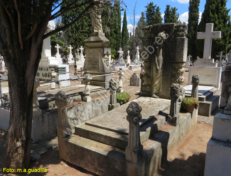 Valladolid - Cementerio (177)