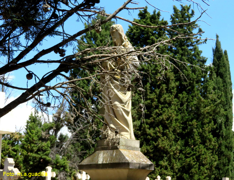 Valladolid - Cementerio (179)