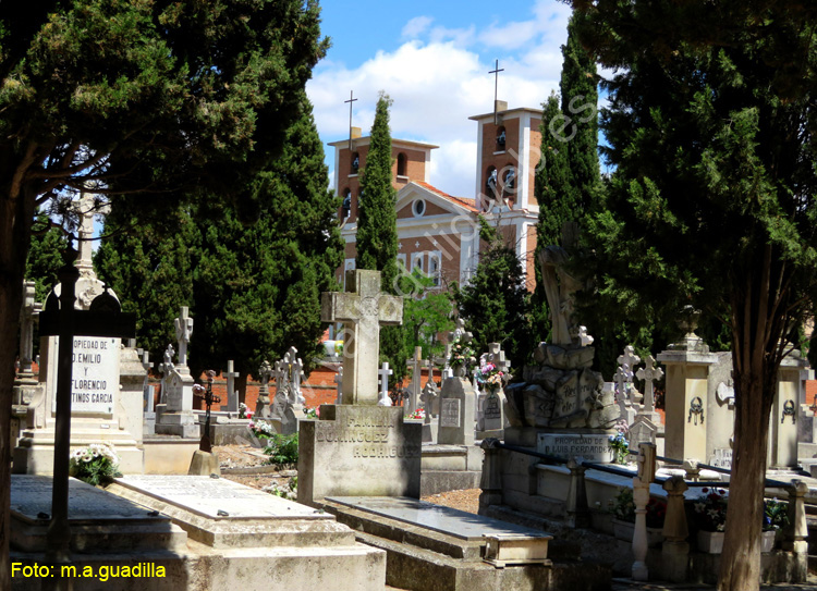 Valladolid - Cementerio (187)