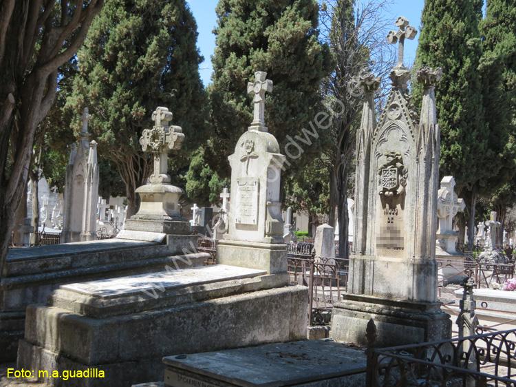 Valladolid - Cementerio (242)