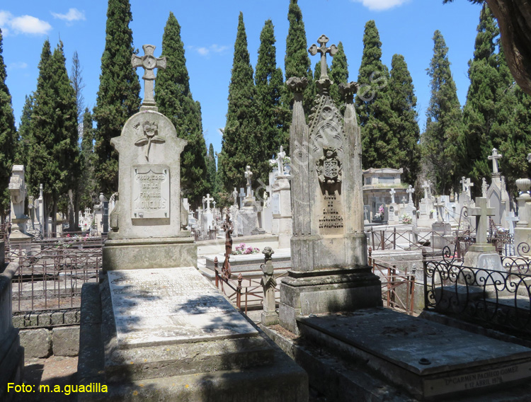 Valladolid - Cementerio (246)