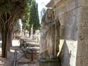 Valladolid - Cementerio (120)