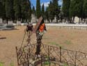 Valladolid - Cementerio (157)
