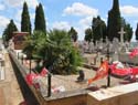 Valladolid - Cementerio (173)