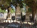 Valladolid - Cementerio (185)
