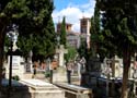 Valladolid - Cementerio (187)