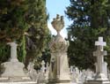 Valladolid - Cementerio (200)