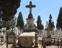 Valladolid - Cementerio (233)
