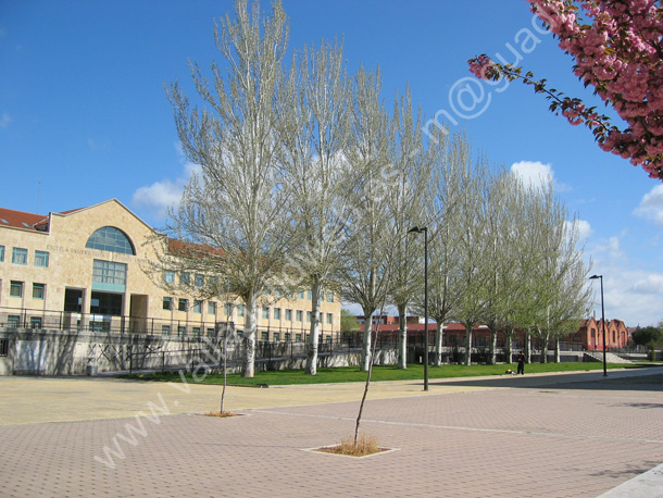 Valladolid - Facultad de Empresariales 001 2008