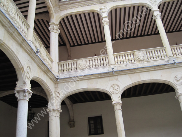 Valladolid - Palacio Real 113 2010