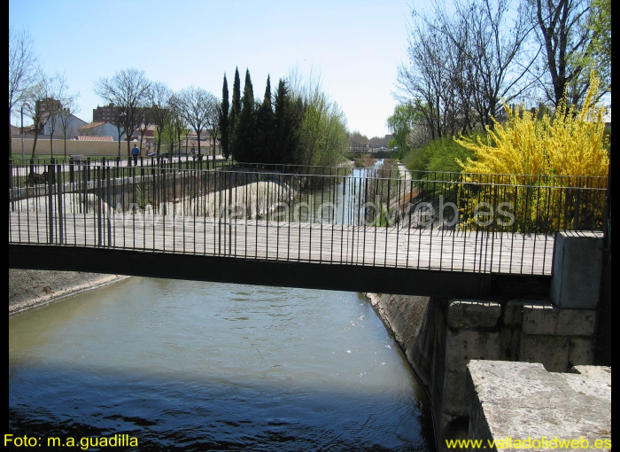 VALLADOLID - PARQUE RIBERA DE CASTILLA (104)