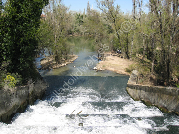 Valladolid - Rio Esgueva 018 2009 Desembocadura