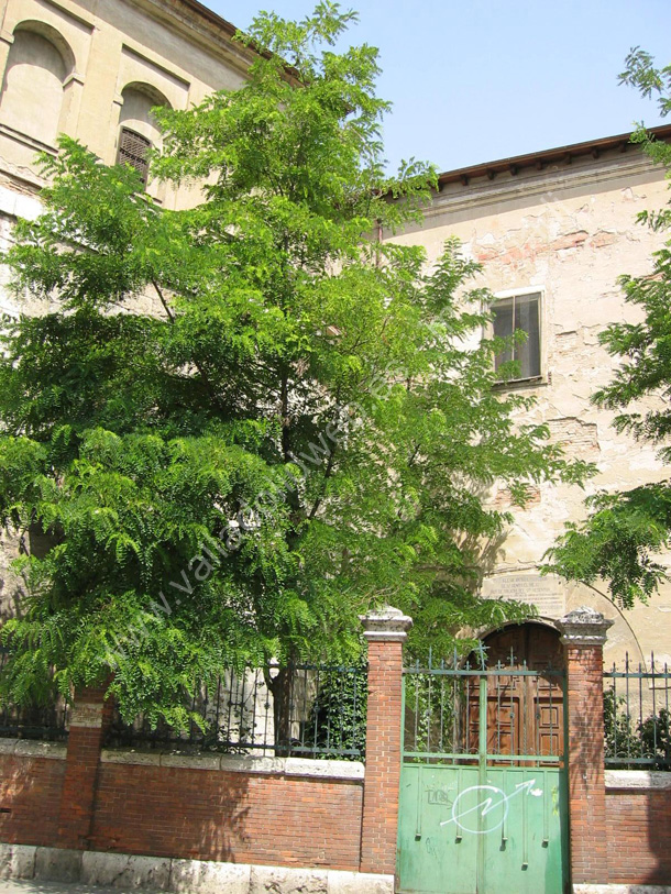 Valladolid - Calle Cadenas de San Gregorio 002 2003