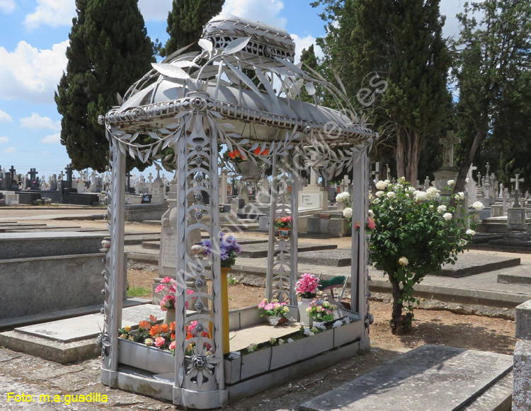 Valladolid - Cementerio (153)