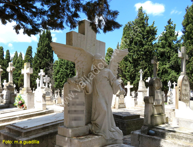 Valladolid - Cementerio (161)