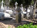 Valladolid - Cementerio (109)