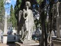 Valladolid - Cementerio (130)