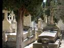 Valladolid - Cementerio (168)