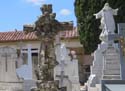 Valladolid - Cementerio (203)