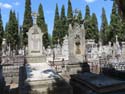 Valladolid - Cementerio (246)