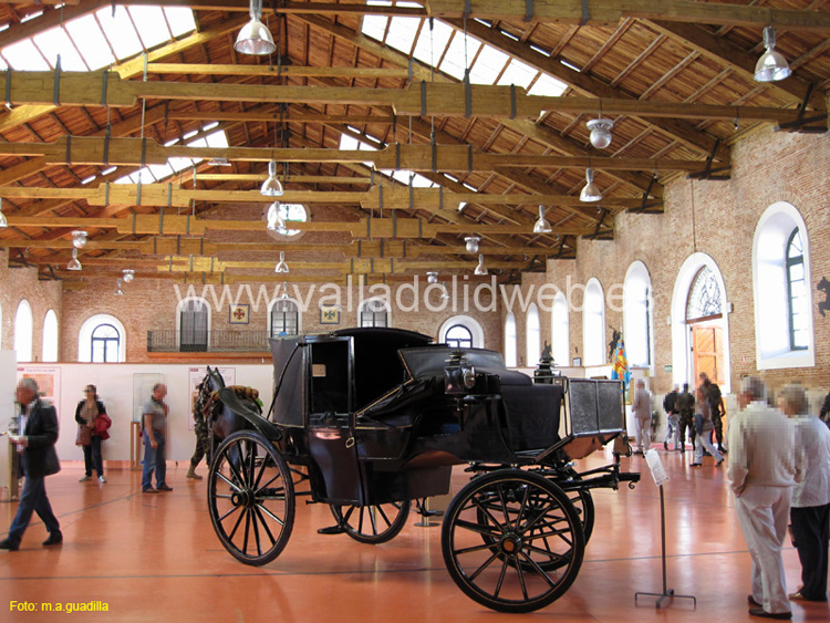 Valladolid - Academia de Caballería (154)