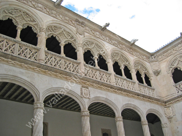 015 Valladolid - Museo Nacional Colegio de San Gregorio