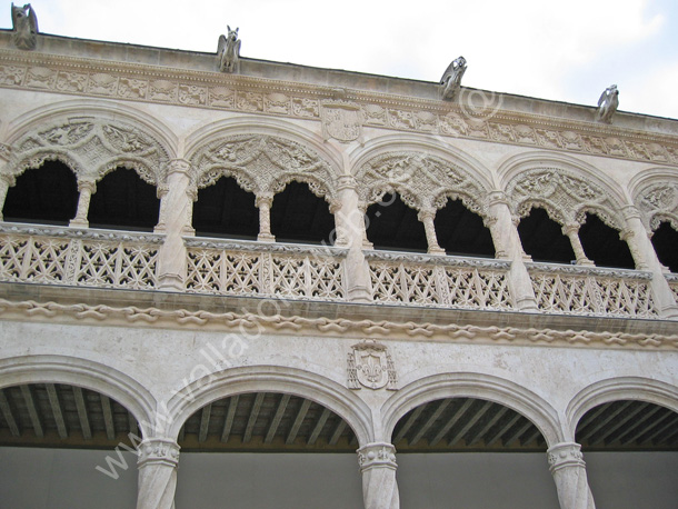 024 Valladolid - Museo Nacional Colegio de San Gregorio