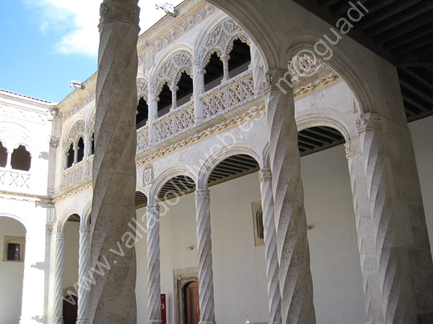 026 Valladolid - Museo Nacional Colegio de San Gregorio