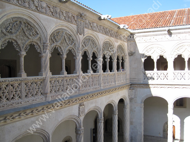 032 Valladolid - Museo Nacional Colegio de San Gregorio