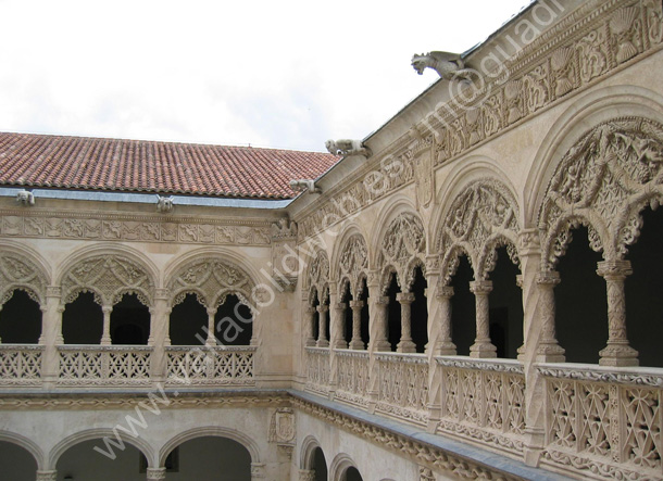 033 Valladolid - Museo Nacional Colegio de San Gregorio