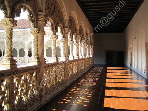 037 Valladolid - Museo Nacional Colegio de San Gregorio