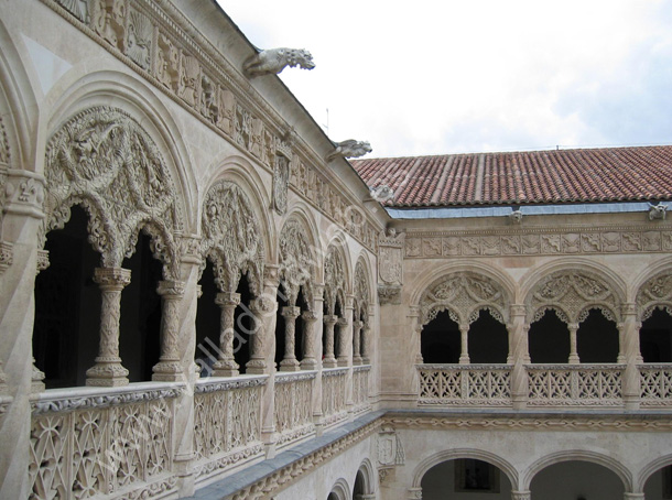 041 Valladolid - Museo Nacional Colegio de San Gregorio