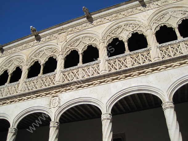 050 Valladolid - Museo Nacional Colegio de San Gregorio