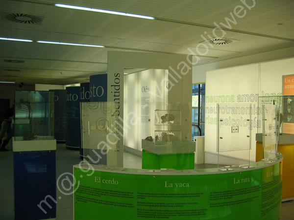 Valladolid - Museo de la Ciencia 019 2009