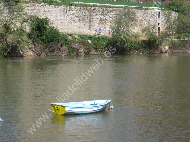 Valladolid - Palacio de la Ribera - Restos - 002 2010