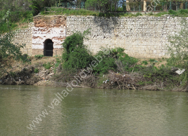 Valladolid - Palacio de la Ribera - Restos - 003 2010