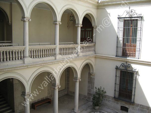 Valladolid - Palacio Villena 030 2009