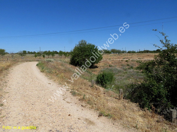 Valladolid - Fuente el Sol (109)