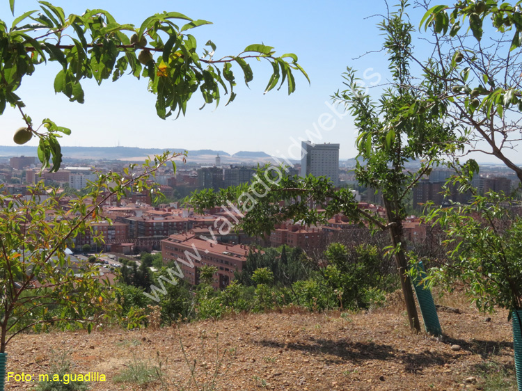 Valladolid - Fuente el Sol (120)