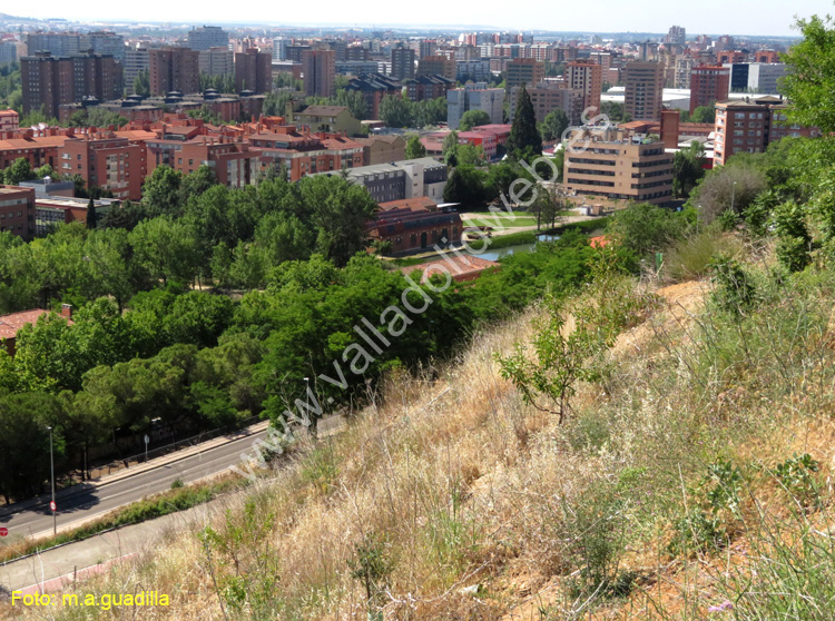 Valladolid - Fuente el Sol (121)