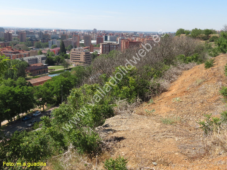 Valladolid - Fuente el Sol (132)