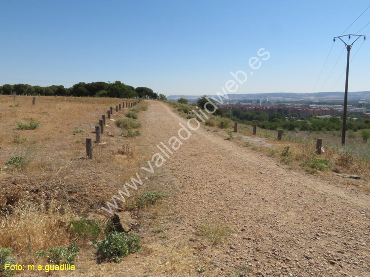 Valladolid - Fuente el Sol (135)