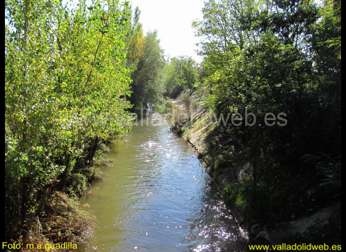 VALLADOLID - PARQUE RIBERA DE CASTILLA (102)