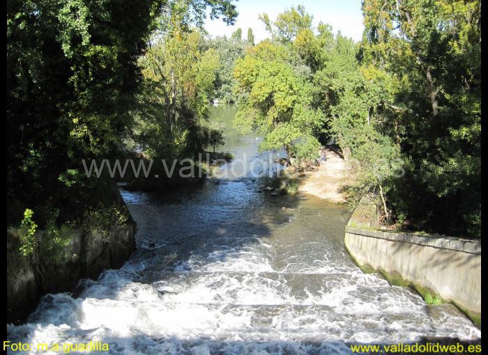 VALLADOLID - PARQUE RIBERA DE CASTILLA (106)