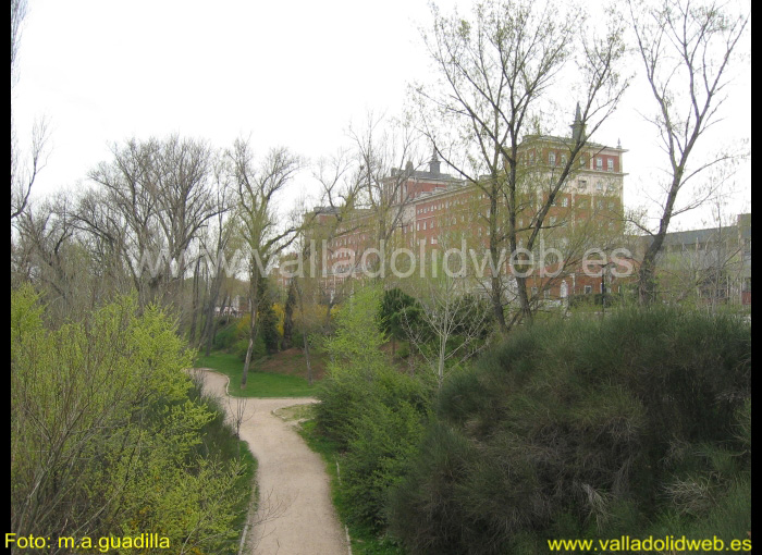 VALLADOLID - PARQUE RIBERA DE CASTILLA (157)