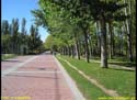 VALLADOLID - PARQUE RIBERA DE CASTILLA (114)