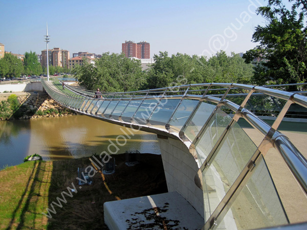 Valladolid - Pasarela Pedro Gomez Bosque 001